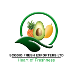 SCODIO FRESH EXPORTERS LTD LOGO - FINAL PNG